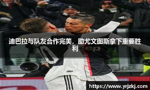 乐鱼电竞平台